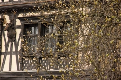 Romania-140