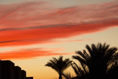 Egypt,January2019-3
