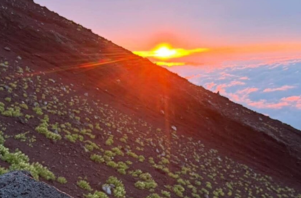 Sunrise