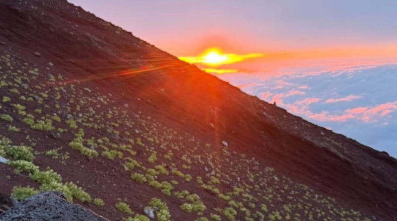 Sunrise
